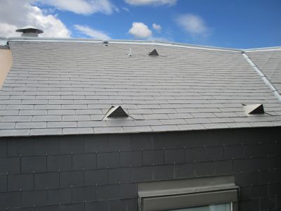 Products For Ridge Vent Repairs in use